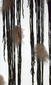 Indian-feathers2