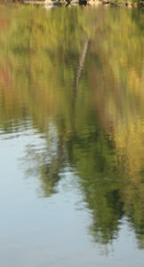 reflections1